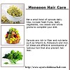 Monsoon Hair Care Visit : http://www.ayurvedahimachal.com/pure-herbal-products/#sthash.RioAipV3.dpbs