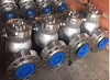 Swing Check Valve Manufacturer in Italy