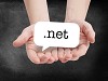 Dot net Web Application Development Company