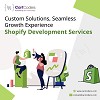 Elevate Your eCommerce with Custom Shopify Services