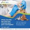 When was the last time you checked your pet's oral health?