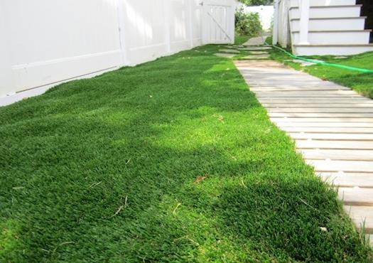 Artificial grass in Annapolis