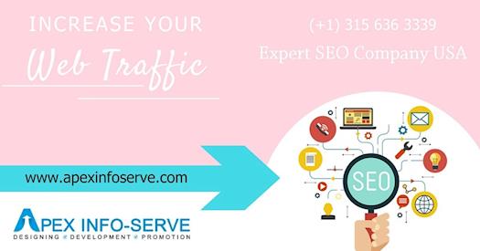 Best SEO agency USA | Apex-Info-Serve