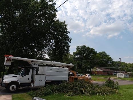 Clean Cut Landscaping and Tree Service