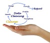 Data Cleansing Companies