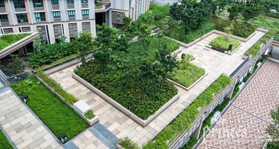Residential Green Roof Maintenance Services in Singapore - Prince's Landscape Pte Ltd