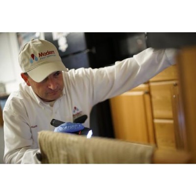 Modern Pest Services