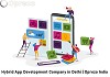 Hybrid App Development Company in Delhi | Oprezo India