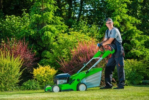 Lawn Care - Grass Mowing
