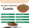 Top Benefits Of Whole Cumin Seeds You Need To Know