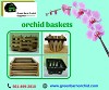 Buy Orchid Baskets at affordable prices-Green Barn Orchid Supplies
