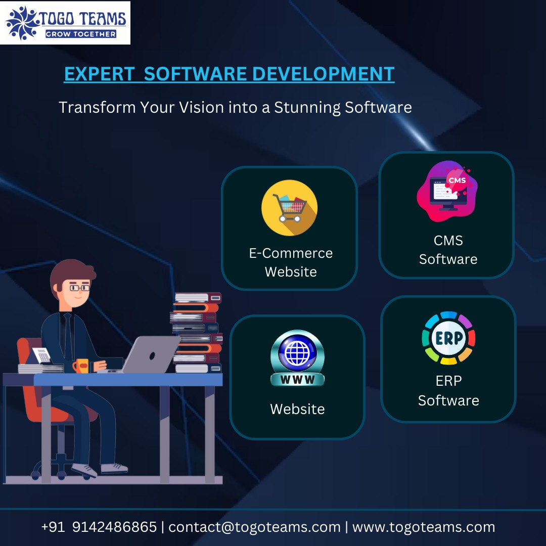 Expert Software Development 