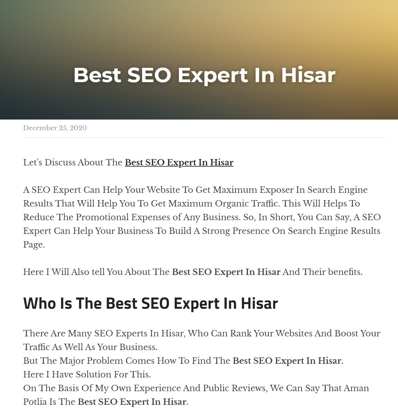 Best SEO Expert In Hisar