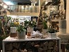 Inside University Flower Shop