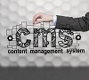 CMS Web Development in US