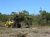 Demolition Houston | Houston Tree & Demolition Services
