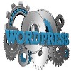 Why to choose Professional Wordpress Developers
