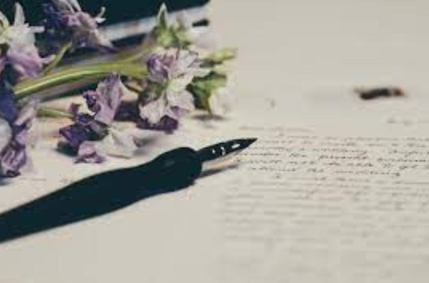 Are you looking for wedding speech writing service? 