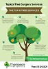 Infographic listing tree surgeon services