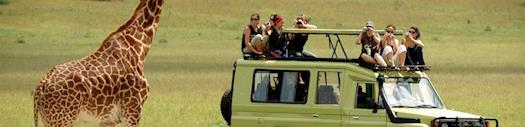 Camping Safari to Masai Mara Kenya