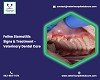 Feline Stomatitis Signs & Treatment - Veterinary Dental Care