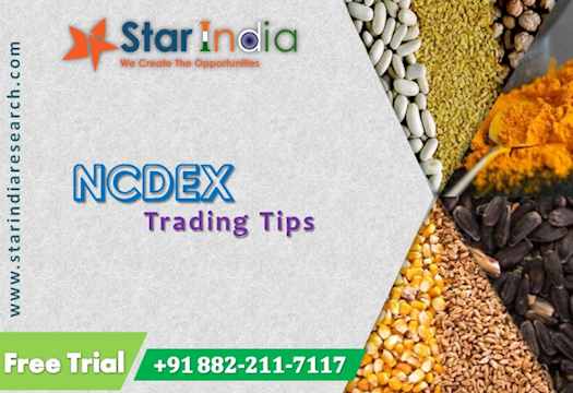 Commodity Market Calls | NCDEX Tips