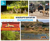 Rajasthan Wilderness Adventure: Embark on a Thrilling Wildlife Safari