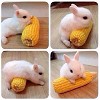 Tiny Bunny Playing with Corn