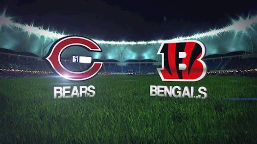Bears vs Bengals live