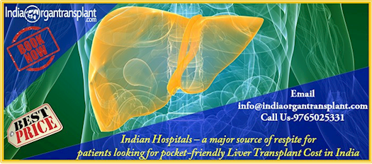 Indian Hospitals – a major source of respite for patients looking for pocket-friendly Liver Transpla