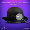 How To Find Hidden Spam Links In Your Website?