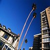 Scottsdale Realtor