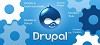 Drupal Web Development Services