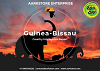 Guinea-Bissau: Country Intelligence Report- Aarkstore 
