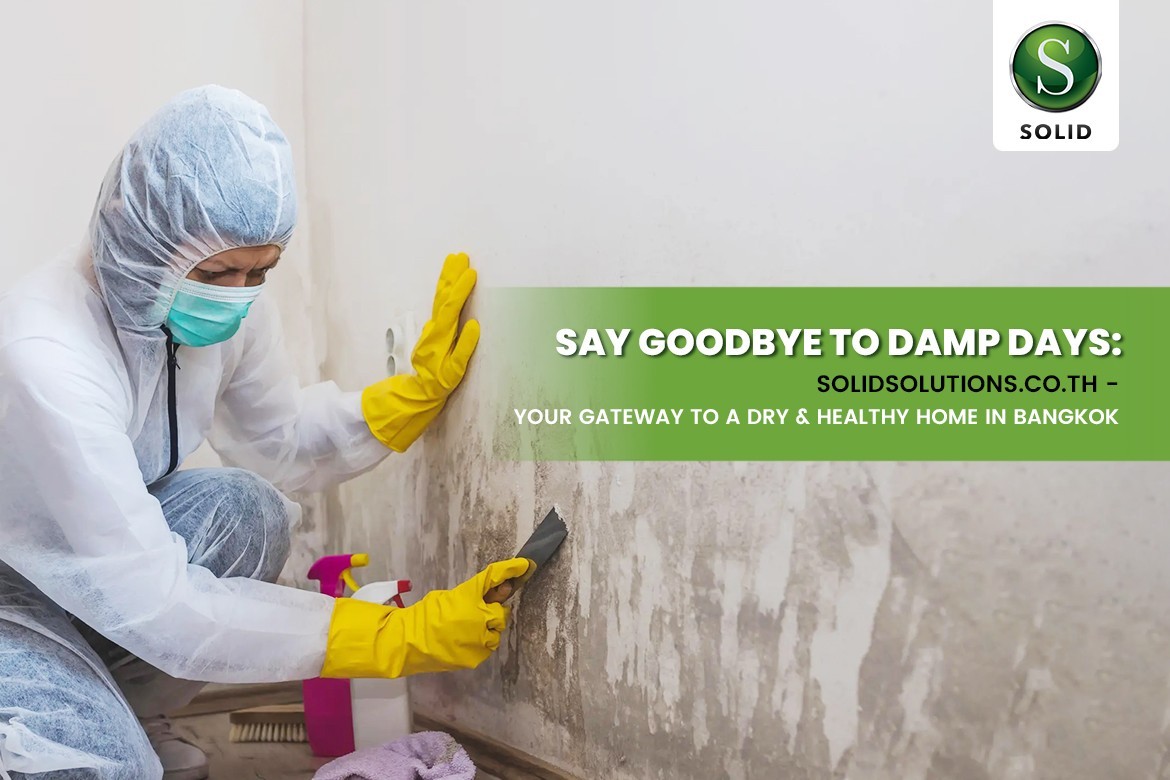 Say Goodbye to Damp Days - Your Gateway to a Dry & Healthy Bangkok Home