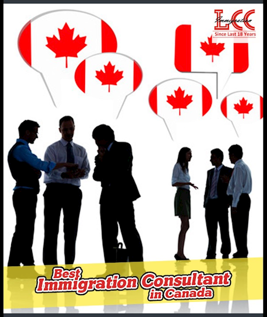 Get the Professional Guidance for Immigration in Canada