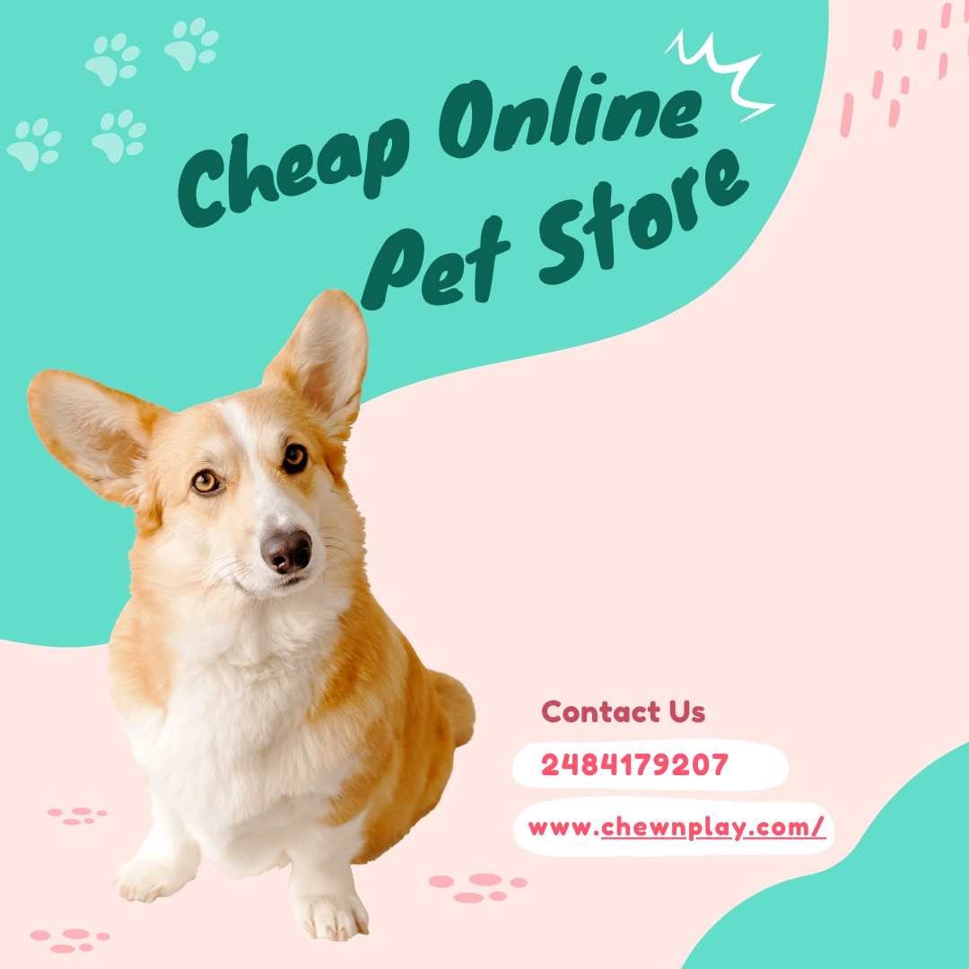 Cheap Online Pet Stores