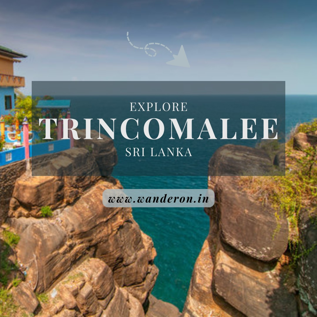 Explore the Enchanting Wonders of Trincomalee: A Gem in Sri Lanka Tour Packages