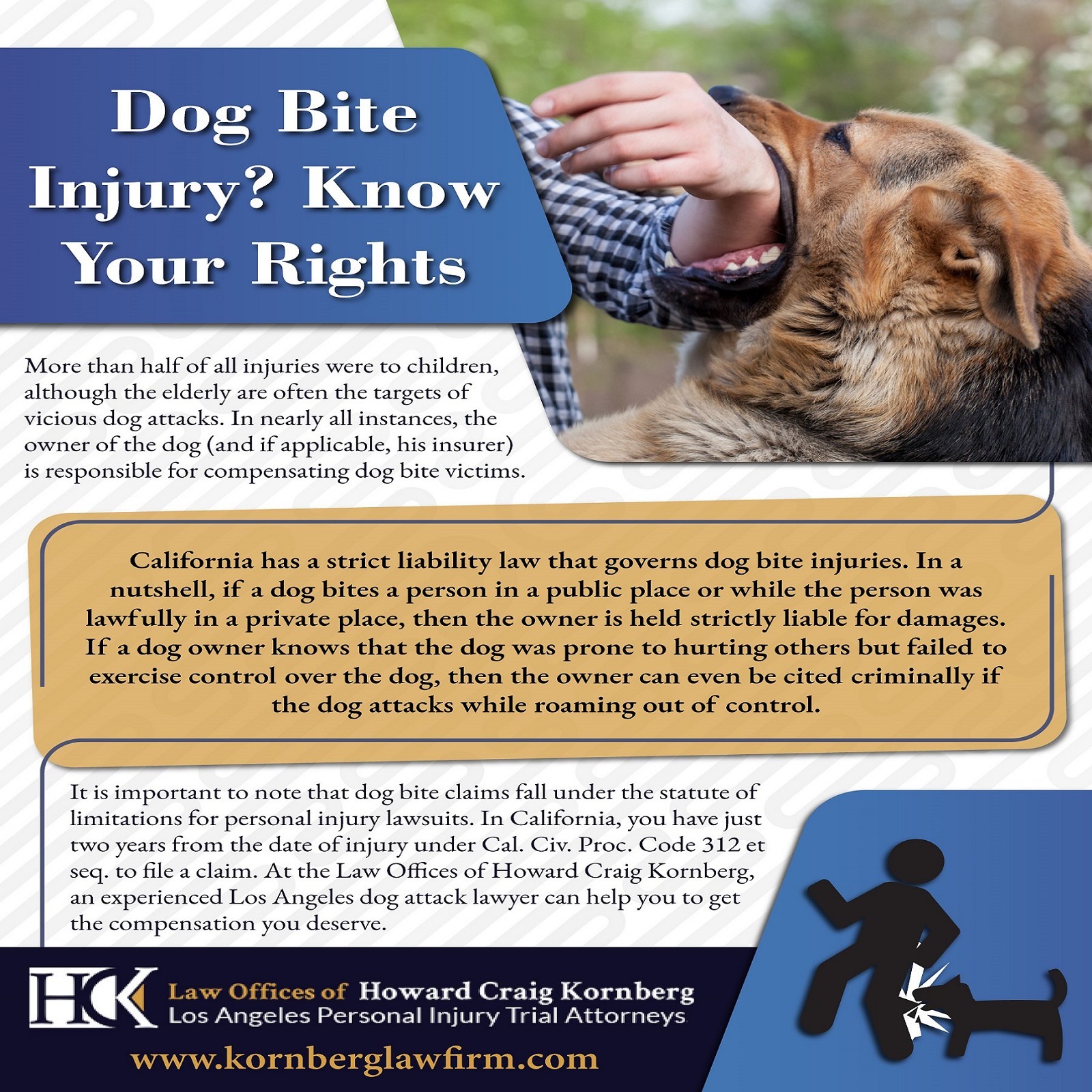 Dog Bite Injury? Know Your Rights
