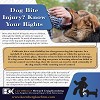 Dog Bite Injury? Know Your Rights