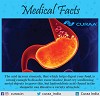 MEDICAL FACT OF THE DAY-CURAA 04