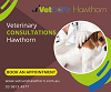 Veterinary Consultations in Hawthorn | Vetcare Hawthorn