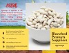 Blanched Peanuts Suppliers