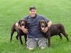 WizeDogs Labradors and Positive Dog Training Academy