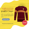 Harry Potter House Quidditch Jumper - Gryffindor