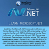 Learn Microsoft .NET in USA