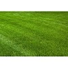 Rawlings Lawn & Landscape, LLC