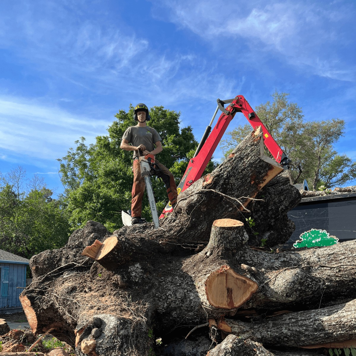 Tree Service Northwest Florida