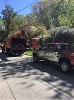 Tree Removal Maryland - Unlimbited Tree Service Inc.