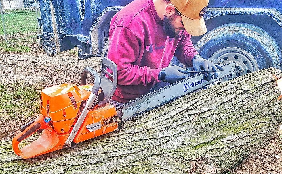 Tree Trimming Near Me - Urban Forestry Initiative